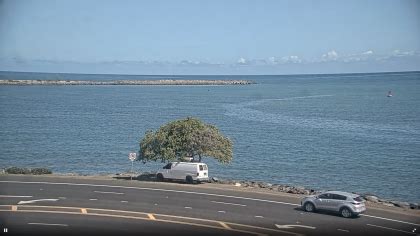 webcam hawaii|【LIVE】 Webcam Kahului